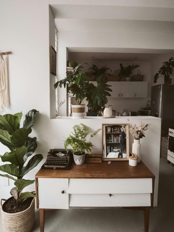 pexels-taryn-elliott-4112603 pexels-taryn-elliott-4112603